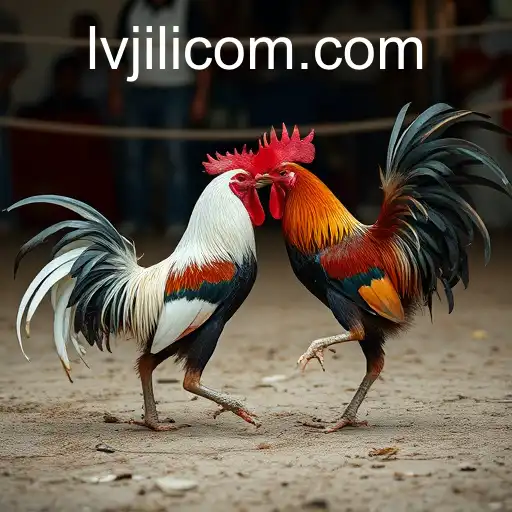 The Cultural and Digital Evolution of Sabong Games